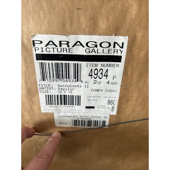 Paragon Picture Gallery Succulents I And II By Sayilir Each 18"x18" - Picture 2 of 7